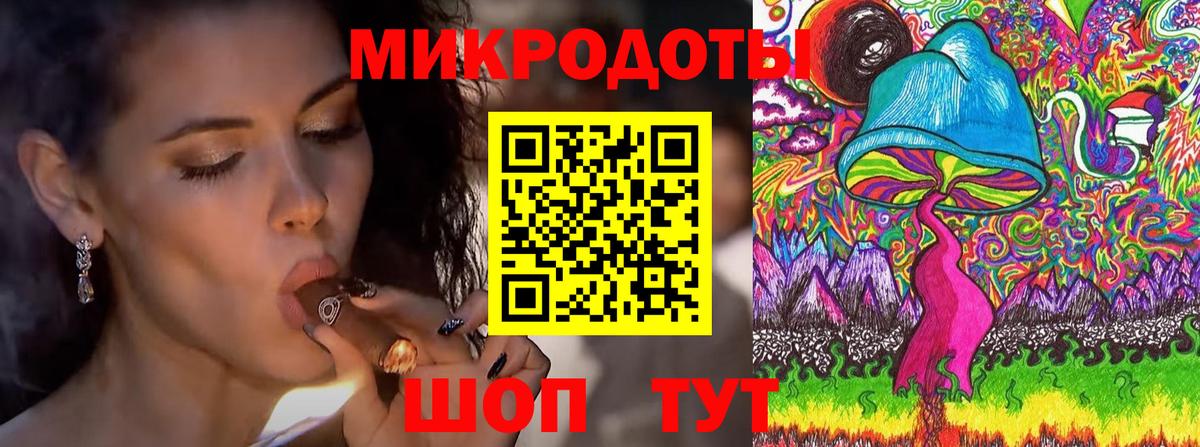 Псилоцибиновые грибы мицелий Томск