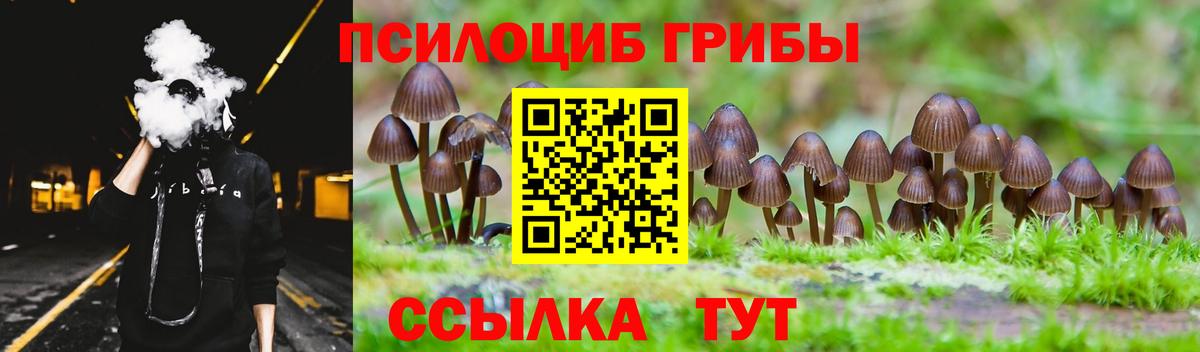 Томск  Псилоцибиновые грибы MAGIC MUSHROOMS  Вход с VPN 